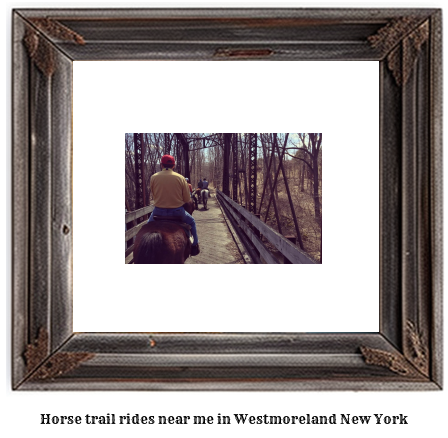 horse trail rides near me in Westmoreland, New York